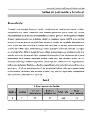 43
Aumente la Producción de El pato real (Cairina moschata)
Costos de producción y beneficios
Consumo familiar
En condiciones normales de crianza familiar, con alimentación basada en sobras de comida y
complemento con pienso comercial u otros alimentos preparados por el criador, una UR con
incubación natural puede producir alrededor de 560 huevos/año (partiendo del valor promedio nacional
de patos no seleccionados) con un éxito de eclosión en incubación natural del 80%, lo que significa
la producción de cerca de 448 patos/año. Si los patos recién nacidos son manejados adecuadamente
como se indica en este manual la mortalidad será menor del 1%, es decir, el criador dispondrá
anualmente de 443,5 patos entre machos y hembras que representarán en promedio 1242 kg de
ave en pie por año o 25 kg de ave por semana, más de lo requerido por una familia promedio. Ante
esta alta producción de carne, el criador puede sacrificar la producción de patos consumiendo parte
de los huevos. Se recomienda consumir los primeros huevos de aquellas hembras buenas ponedoras
(con producción mayor de 16 huevos por nido) a fin de dejar a las patas incubar con mayor eficiencia
los huevos más frescos. Desde luego, también es posible para crianza familiar, reducir el número de
hembras por UR a fin de reducir la producción de patos hasta niveles acordes con el consumo y con
la disponibilidad de alimento para mantener el pie de cría y levantar los patos BB. En la siguiente
tabla se muestra un resumen de lo expuesto:
Tabla 6
 