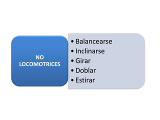 • Balancearse
• Inclinarse
• Girar
• Doblar
• Estirar
NO
LOCOMOTRICES
 