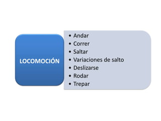 • Andar
• Correr
• Saltar
• Variaciones de salto
• Deslizarse
• Rodar
• Trepar
LOCOMOCIÓN
 