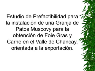 Estudio de Prefactibilidad para
la instalación de una Granja de
Patos Muscovy para la
obtención de Foie Gras y
Carne en el Valle de Chancay,
orientada a la exportación.
 