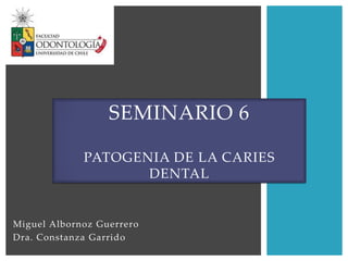 Miguel Albornoz Guerrero
Dra. Constanza Garrido
SEMINARIO 6
PATOGENIA DE LA CARIES
DENTAL
 