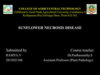COLLEGE OF AGRICULTURAL TECHNOLOGY
(Affiliated to Tamil Nadu Agricultural University, Coimbatore-3)
Kullapuram (Po),ViaVaigai Dam, Theni-625 562
SUNFLOWER NECROSIS DISEASE
Submitted by Course teacher
RAMYA.V Dr.Parthasarathy.S
2015021106 Assistant Professor (Plant Pathology)
 