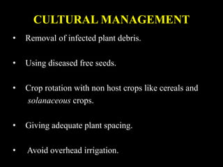 CULTURAL MANAGEMENT
• Removal of infected plant debris.
• Using diseased free seeds.
• Crop rotation with non host crops like cereals and
solanaceous crops.
• Giving adequate plant spacing.
• Avoid overhead irrigation.
 