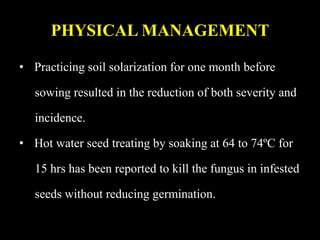PHYSICAL MANAGEMENT
• Practicing soil solarization for one month before
sowing resulted in the reduction of both severity and
incidence.
• Hot water seed treating by soaking at 64 to 74ºC for
15 hrs has been reported to kill the fungus in infested
seeds without reducing germination.
 