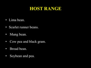 HOST RANGE
• Lima bean.
• Scarlet runner beans.
• Mung bean.
• Cow pea and black gram.
• Broad bean.
• Soybean and pea.
 