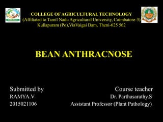 COLLEGE OF AGRICULTURAL TECHNOLOGY
(Affiliated to Tamil Nadu Agricultural University, Coimbatore-3)
Kullapuram (Po),ViaVaigai Dam, Theni-625 562
BEAN ANTHRACNOSE
Submitted by Course teacher
RAMYA.V Dr. Parthasarathy.S
2015021106 Assistant Professor (Plant Pathology)
 