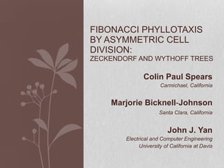 Algorithm - Fibonacci Phyllotaxis by Asymmetric Cell Division | PPT