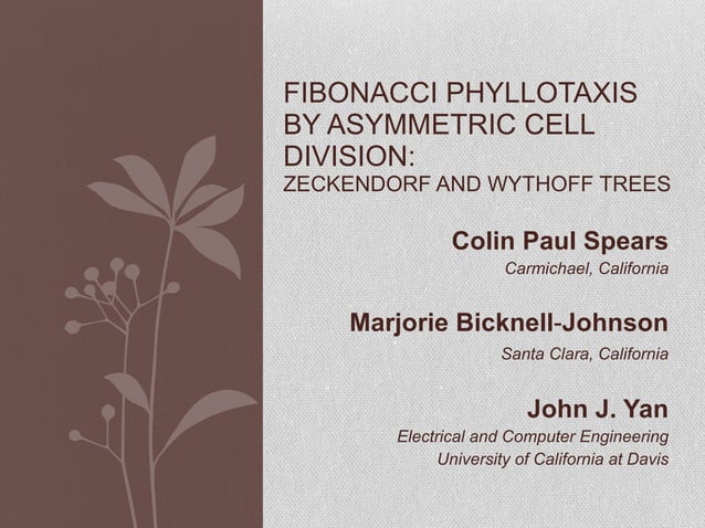 Algorithm - Fibonacci Phyllotaxis by Asymmetric Cell Division | PPT