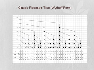 Algorithm - Fibonacci Phyllotaxis by Asymmetric Cell Division | PPT