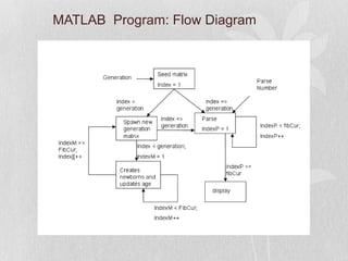 Algorithm - Fibonacci Phyllotaxis by Asymmetric Cell Division | PPT