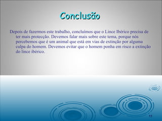 Conclusão  Depois de fazermos este trabalho, concluímos que o Lince Ibérico precisa de ter mais protecção. Devemos falar mais sobre este tema, porque nós percebemos que é um animal que está em vias de extinção por alguma culpa do homem. Devemos evitar que o homem ponha em risco a extinção do lince ibérico. 