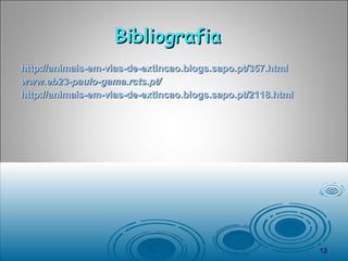 Bibliografia  http://animais-em-vias-de-extincao.blogs.sapo.pt/357.html   www.eb23-paulo-gama.rcts.pt/   http://animais-em-vias-de-extincao.blogs.sapo.pt/2118.html   
