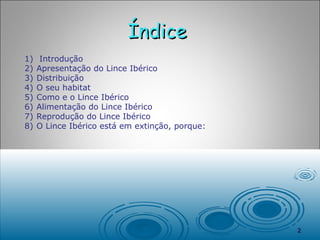 Índice  Introdução Apresentação do Lince Ibérico Distribuição  O seu habitat  Como e o Lince Ibérico Alimentação do Lince Ibérico  Reprodução do Lince Ibérico O Lince Ibérico está em extinção, porque:  