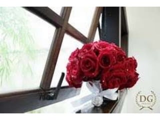 Patrícia + peterson