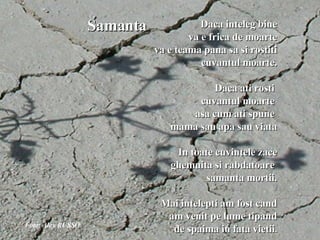   Daca inteleg bine va e frica de moarte va e teama pana sa si rostiti cuvantul moarte. Daca ati rosti  cuvantul moarte  asa cum ati spune  mama sau apa sau viata In toate cuvintele zace ghemuita si rabdatoare  samanta mortii.   Mai intelepti am fost cand am venit pe lume tipand de spaima in fata vietii . Foto: Alex RUSSO Samanta 