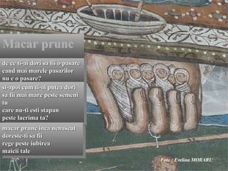 de ce ti-ai dori sa fii o pasare cand mai marele pasarilor nu e o pasare? si-apoi cum ti-ai putea dori sa fii mai mare peste semeni tu care nu-ti esti stapan peste lacrima ta? macar prunc inca nenascut doreste-ti sa fii rege peste iubirea maicii tale Macar prunc Foto : Evelina MORARU 