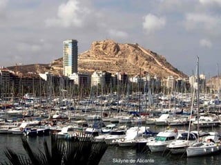 Skilyne de Alicante 