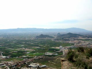 Huerta de Murcia 