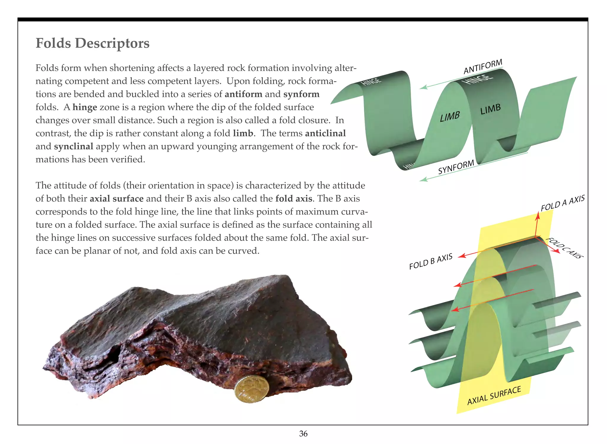 Folds form when shortening affects a layered rock formation involving alter-
nating competent and less competent layers. Upon folding, rock forma-
tions are bended and buckled into a series of antiform and synform
folds. A hinge zone is a region where the dip of the folded surface
changes over small distance. Such a region is also called a fold closure. In
contrast, the dip is rather constant along a fold limb. The terms anticlinal
and synclinal apply when an upward younging arrangement of the rock for-
mations has been veriﬁed.
The attitude of folds (their orientation in space) is characterized by the attitude
of both their axial surface and their B axis also called the fold axis. The B axis
corresponds to the fold hinge line, the line that links points of maximum curva-
ture on a folded surface. The axial surface is deﬁned as the surface containing all
the hinge lines on successive surfaces folded about the same fold. The axial sur-
face can be planar of not, and fold axis can be curved.
Folds Descriptors
36
 