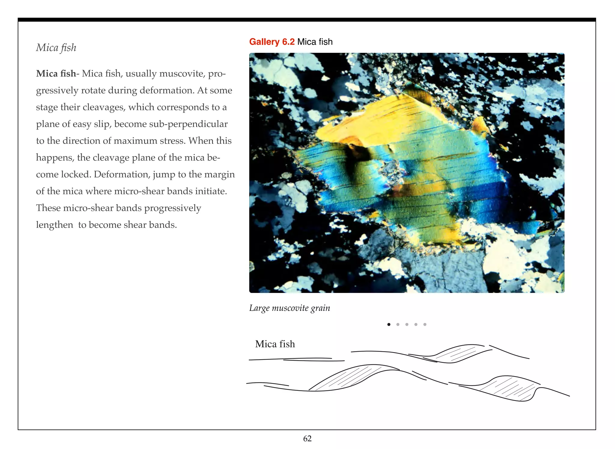 Large muscovite grain
Gallery 6.2 Mica ﬁsh
Mica ﬁsh- Mica ﬁsh, usually muscovite, pro-
gressively rotate during deformation. At some
stage their cleavages, which corresponds to a
plane of easy slip, become sub-perpendicular
to the direction of maximum stress. When this
happens, the cleavage plane of the mica be-
come locked. Deformation, jump to the margin
of the mica where micro-shear bands initiate.
These micro-shear bands progressively
lengthen to become shear bands.
Mica fish
62
Mica ﬁsh
 