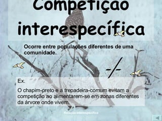 Competição interespecífica Ocorre entre populações diferentes de uma comunidade. Ex. O chapim-preto e a trepadeira-comum evitam a competição ao alimentarem-se em zonas diferentes da árvore onde vivem. -/- 