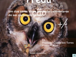 Predação Um dos seres vivos (predador) alimenta-se do ser capturado (presa). Ex. Predador: Coruja das Torres Presa: Roedor +/- 