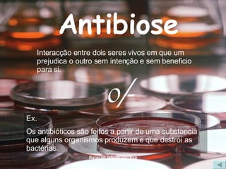Antibiose Interacção entre dois seres vivos em que um prejudica o outro sem intenção e sem beneficio para si. 0/- Ex. Os antibióticos são feitos a partir de uma substancia que alguns organismos produzem e que destrói as bactérias. 