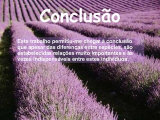Conclusão Este trabalho permitiu-me chegar à conclusão que apesar das diferenças entre espécies, são estabelecidas relações muito importantes e às vezes indispensáveis entre estes indivíduos. 