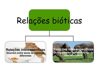 Relações bióticas Relações interespecíficas Ocorrem entre seres de espécies diferentes Relações intra-específicas Os organismos envolvidos são da mesma espécie 