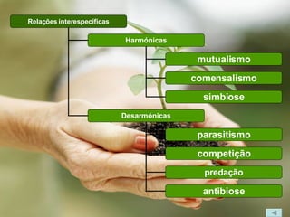 Relações   interespecíficas Harmónicas mutualismo comensalismo Desarmónicas parasitismo competição simbiose predação antibiose 