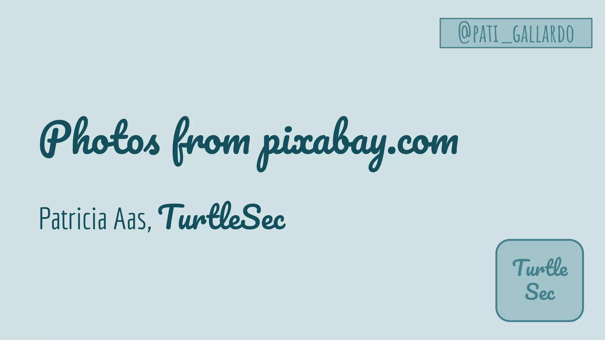 Turtle
Sec
Photos from pixabay.com
Patricia Aas, TurtleSec
@pati_gallardo
 