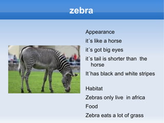 zebra ,[object Object]
