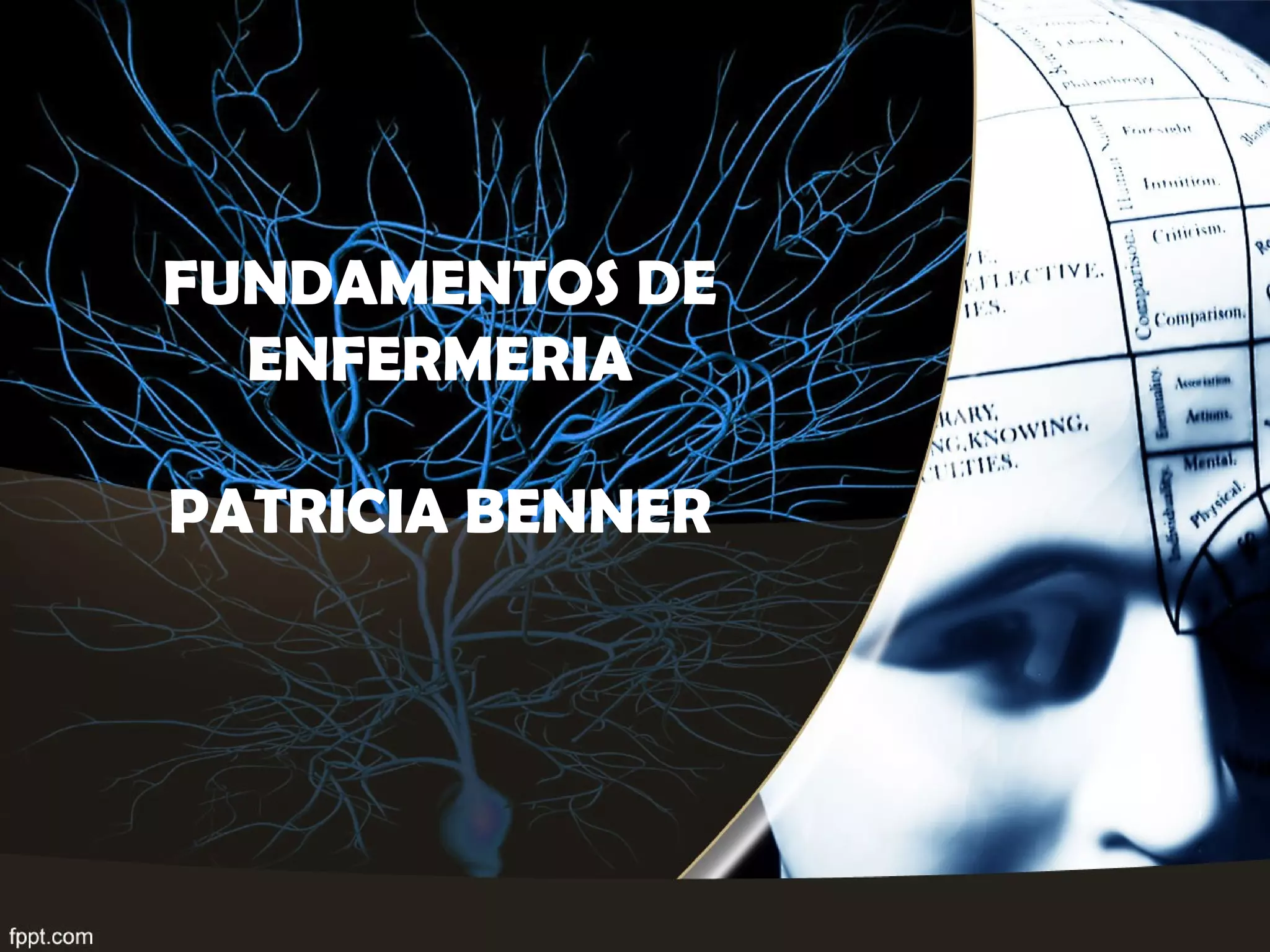 Ref Benner Patricia Benner Les 5 Stades – Cadre de référence : Modèle sur le ...