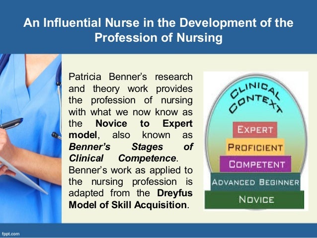 benner s novice to expert theory