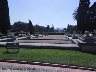 Fotos: Patrícia Gomes de Miranda
 