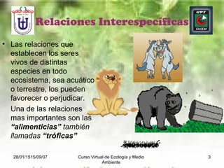 28/01/1515/09/07 Curso Virtual de Ecología y Medio
Ambiente
3
Relaciones Interespecíficas
• Las relaciones que
establecen los seres
vivos de distintas
especies en todo
ecosistema, sea acuático
o terrestre, los pueden
favorecer o perjudicar.
Una de las relaciones
mas importantes son las
“alimenticias” también
llamadas “tróficas”
 
