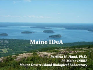 Maine IDeA

                  Patricia H. Hand, Ph.D.
                         PI, Maine INBRE
Mount Desert Island Biological Laboratory
 