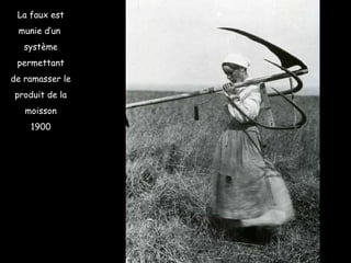 La faux est munie d’un  système permettant de ramasser le produit de la moisson 1900 