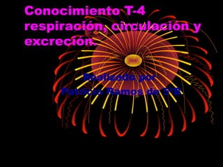 Conocimiento T-4
respiración, circulación y
excreción.
Realizado por
Patricia Ramos de 5ºB
 