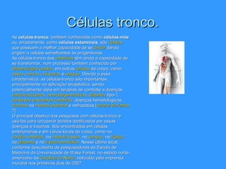 Células tronco. As  células-tronco , também conhecidas como  células-mãe  ou, erradamente, como  células estaminais , são  células  que possuem a melhor capacidade de se  dividir  dando origem a células semelhantes às progenitoras. As células-tronco dos  embriões  têm ainda a capacidade de se transformar, num processo também conhecido por  diferenciação celular , em outros  tecidos  do corpo, como  ossos ,  nervos ,  músculos  e  sangue . Devido a essa característica, as células-tronco são importantes, principalmente na aplicação terapêutica, sendo potencialmente úteis em terapias de combate a doenças  cardiovasculares ,  neurodegenerativas ,  diabetes  tipo-1,  acidentes vasculares cerebrais , doenças hematológicas,  traumas  na  medula espinhal  e nefropatias.[ carece de fontes ?] O principal objetivo das pesquisas com células-tronco é usá-las para recuperar tecidos danificados por essas doenças e traumas. São encontradas em células embrionárias e em vários locais do corpo, como no  cordão umbilical , na  medula óssea , no  sangue , no  fígado , na  placenta  e no  líquido amniótico . Nesse último local, conforme descoberta de pesquisadores da Escola de Medicina da Universidade de Wake Forest, no estado norte-americano da  Carolina do Norte , noticiada pela imprensa mundial nos primeiros dias de 2007. 