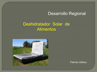 Desarrollo Regional

Deshidratador Solar de
      Alimentos




                         Patricia Velloso
 