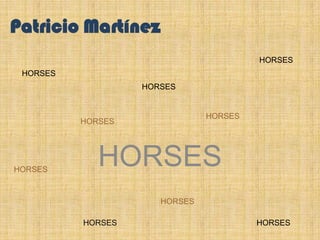 HORSES Patricio Martínez HORSES HORSES HORSES HORSES HORSES HORSES HORSES HORSES HORSES 