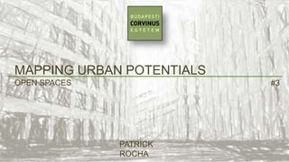MAPPING URBAN POTENTIALS
OPEN SPACES

#3

PATRICK
ROCHA

 