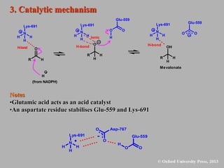 Glu-559
O O
H
Notes
•Glutamic acid acts as an acid catalyst
•An aspartate residue stabilises Glu-559 and Lys-691
3. Catalytic mechanism
Glu-559
O O
N
Lys-691
H H
H
Asp-767
O
O
H
N
Lys-691
H H
H
O
R H
H
-b
ond
(from NADPH)
H
Mevalonate
OH
R H
N
Lys-691
H H
H
H-bond
Glu-559
O O
H
O
R H
H
N
Lys-691
H H
H
H-bond
Ionic
 