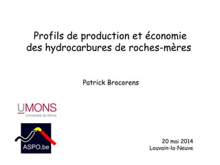 Profils de production et économie
des hydrocarbures de roches-mères
20 mai 2014
Louvain-la-Neuve
Patrick Brocorens
 