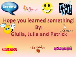 Igneous Rock Presentation