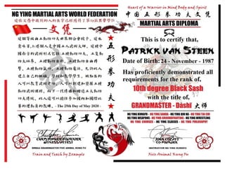 Diploma: Patrick van Steen grandmaster of martial arts Ng Ying Kung Fu