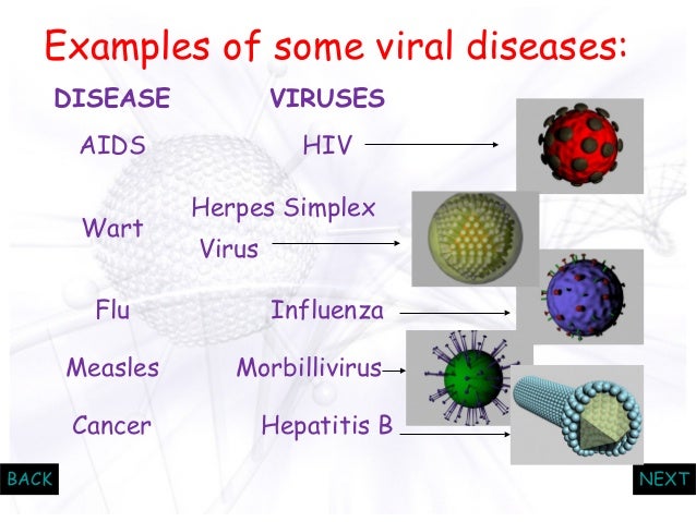 viruses