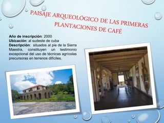 Año de inscripción: 2000
Ubicación: al sudeste de cuba
Descripción: situados al pie de la Sierra
Maestra, constituyen un testimonio
excepcional del uso de técnicas agrícolas
precursoras en terrenos difíciles.
 