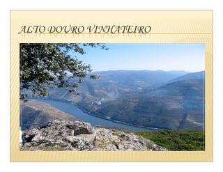 Património Histórico CP